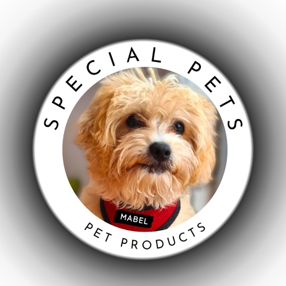 Meet your Posher, Regina